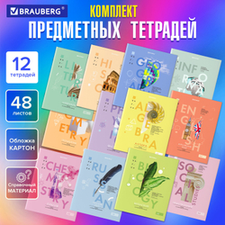 Тетради предметные со справочным материалом, КОМПЛЕКТ 12 ПРЕДМЕТОВ, VISION, 48 л., обложка картон, BRAUBERG, 404323