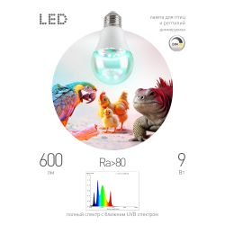 Лампа для птиц и рептилий ЭРА Chicken с UVB спектром FITO-Dim 9W E27 | Лампы для птиц и рептилий
