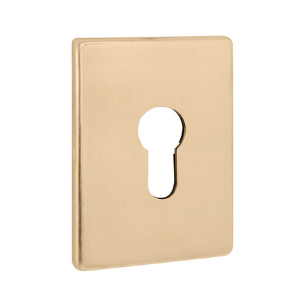 Накладка на цилиндр ESC.C.RL/K.486 (ESC 486-C RL) SSG сатинированное золото