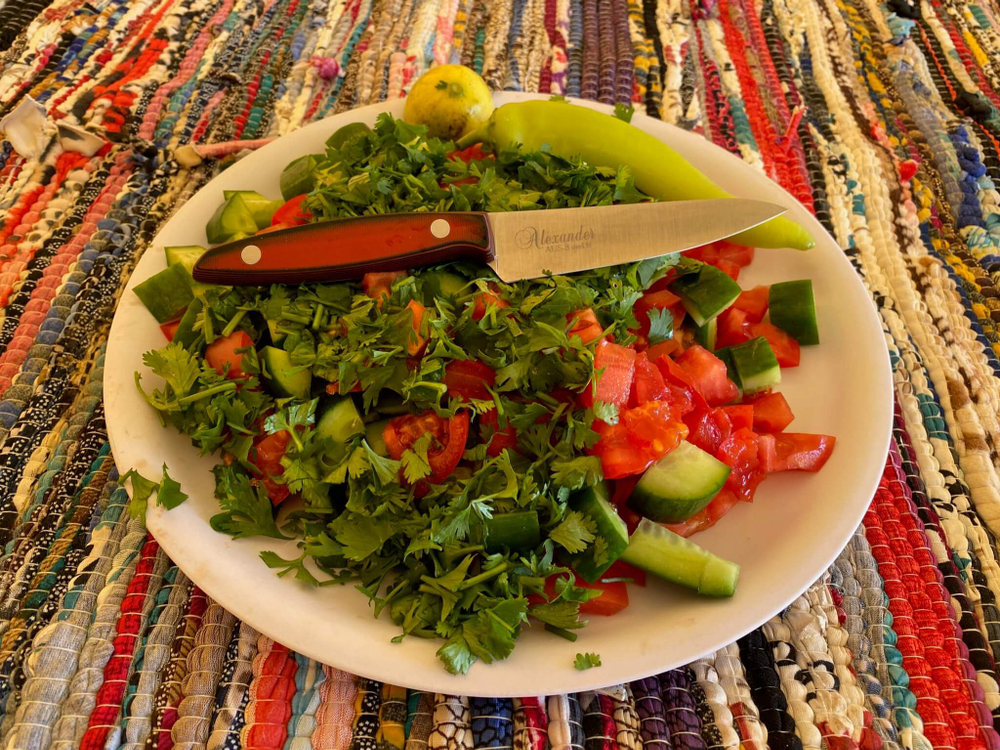 🏆Кухонный нож Alexander S AUS-8 Red G10