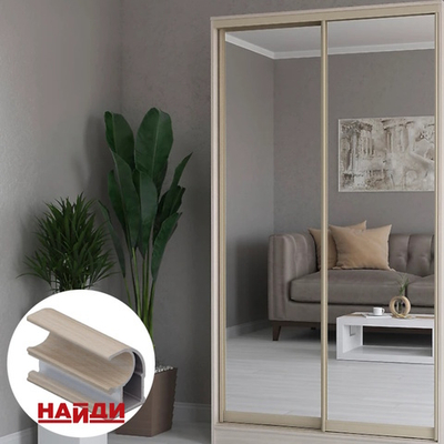 Дверь-купе NAIDY С, зеркало, профиль береза нордик