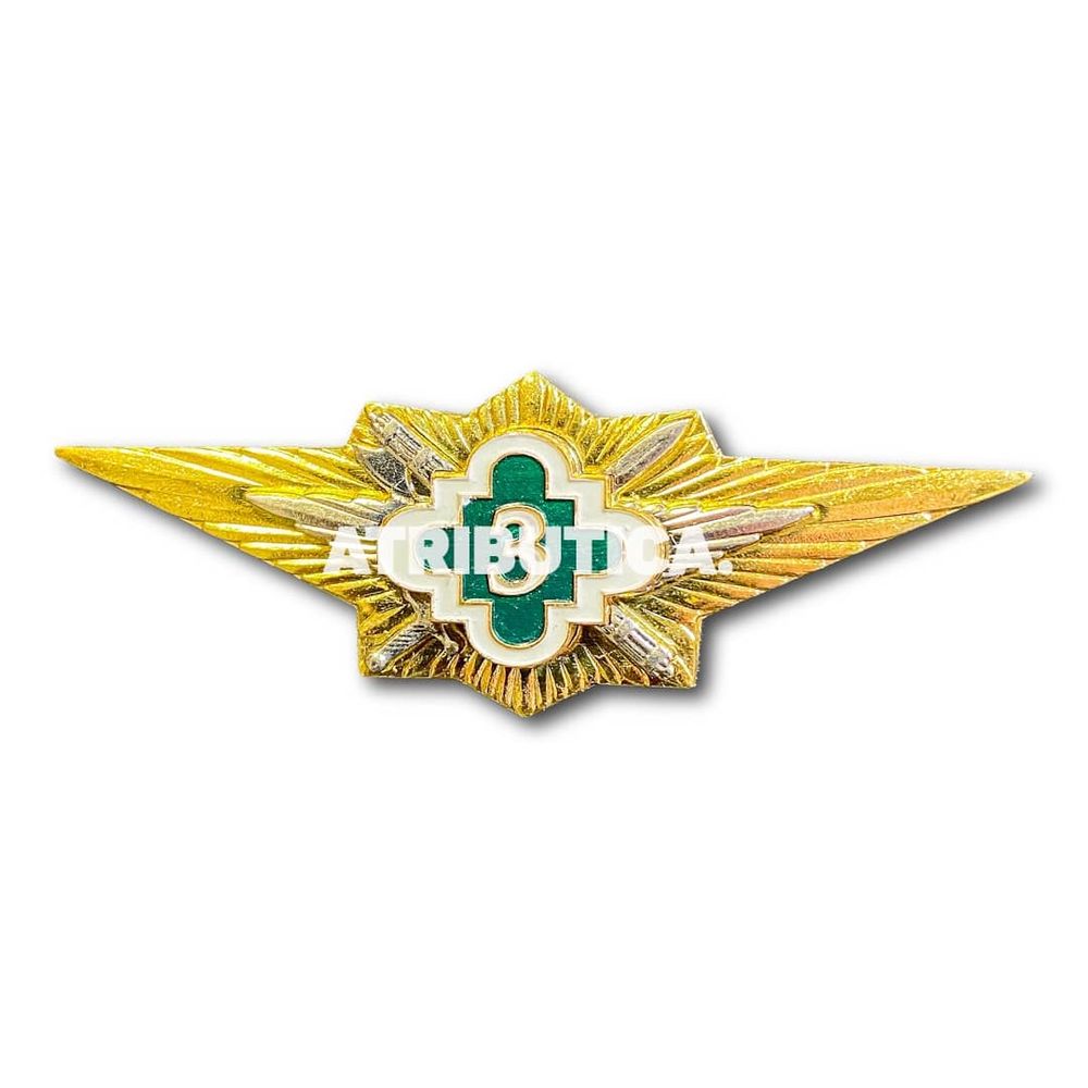 Знак Нагрудный Классность ФСИН 3 Класс | ATRIBUTICASTORE.RU