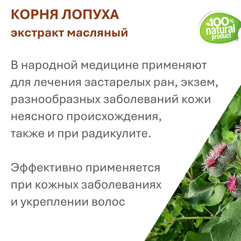Экстракт корня лопуха, масляный