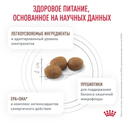 Royal canin gastrointestinal low fat small dog сухой корм для взрослых собак мелких пород при нарушениях пищеварения - 1 кг