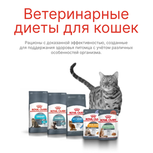 Ветеринарные диеты