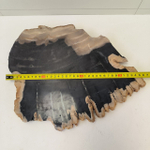 Набор из окаменелого дерева 4 предм Fossil Set NF-63292 поднос 149
