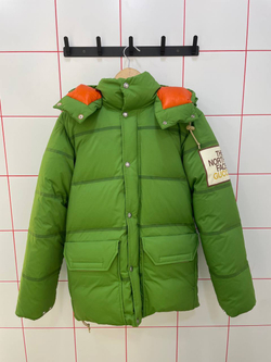 Пуховик The North Face x Gucci