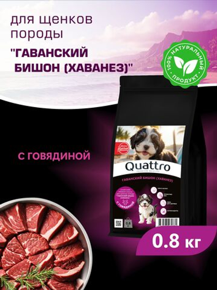 Корм сухой для щенков породы Гаванский бишон (Хаванез), с говядиной, 800 гр, QUATTRO