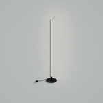 Напольный светильник (торшер) Freya FR6122FL-L22B