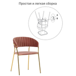 Комплект из 2-х стульев Turin пудровый с золотыми ножками