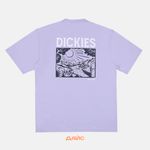  Футболка мужская Dickies Patrick Springs Tee  артикул:DK0A4YR7H181 - купить в магазине Дайс