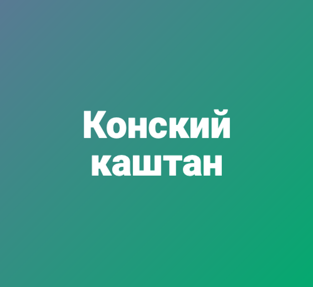Конский каштан
