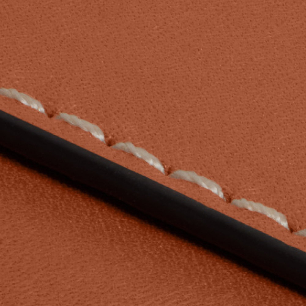 Картхолдеры и кошельки CELINE TRIOMPHE, 10B703FQ5-04LI