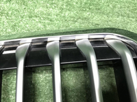 Решетка радиатора BMW X7 G07 (2019-2022)