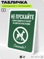 Табличка "Не пускайте собак ходить в туалет на цветы и растения", для двора, дома, подъезда, 40х30 см, Silver Plane x Айдентика Технолоджи