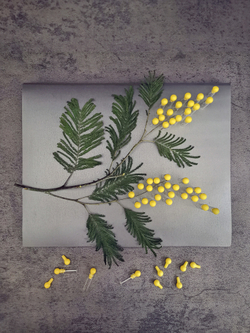 Фиолка стекло [0,5 мл]