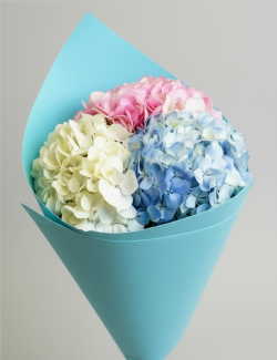 Букет гортензий Лазурный берег