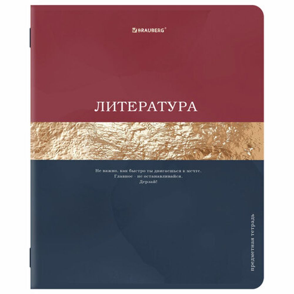 Тетради предметные, КОМПЛЕКТ 12 ПРЕДМЕТОВ, 48 л., матовая ламинация, фольга, BRAUBERG "GOLDY", 405178