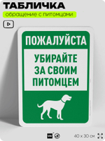 Табличка "Убирайте за своим питомцем" на дверь и забор, для двора, дома, подъезда, 40х30 см, Silver Plane x Айдентика Технолоджи