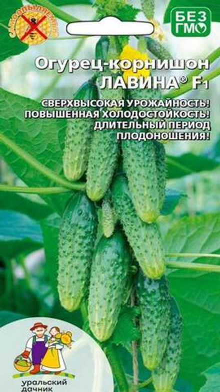 Огурец "G. Лавина F1" 8шт., Россия.