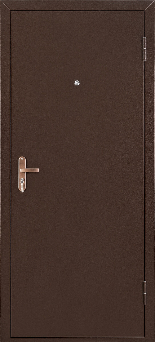Дверь входная Профи Про