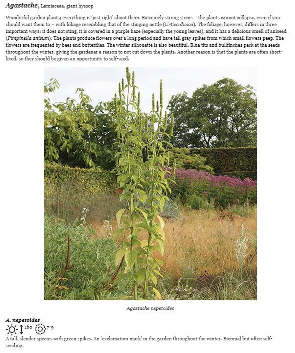 Planting the Natural Garden by Piet Oudolf and Henk Gerritsen