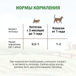 ФЕРМА КОТА ФЕДОРА Лакомые палочки для кошек и котят из лосося, 3х5 г