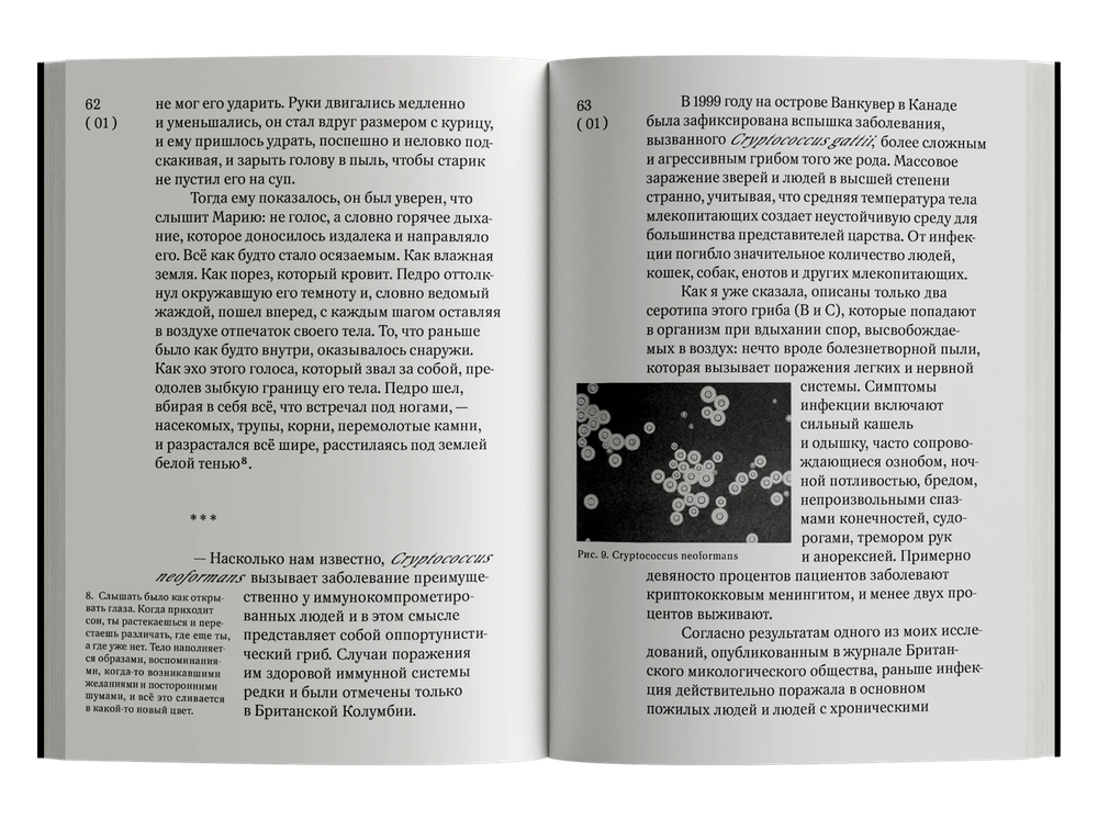 Обширная территория