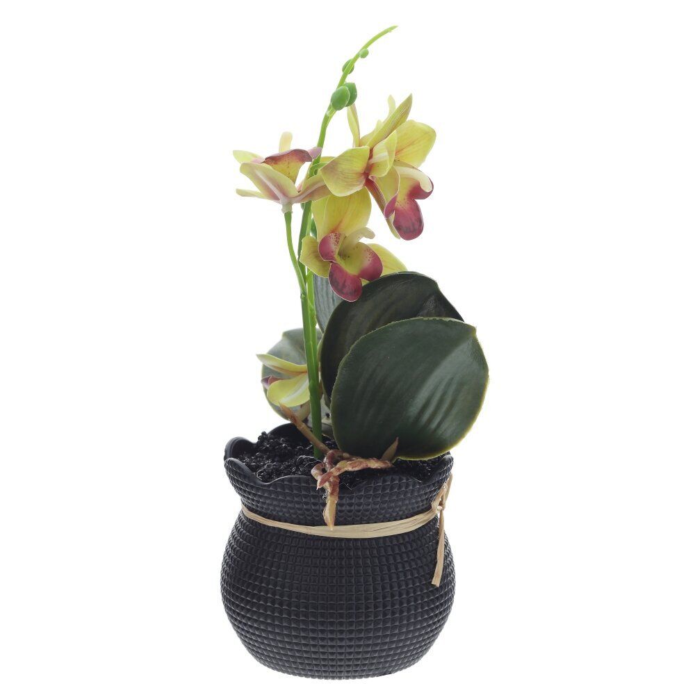 GAEM Цветочная композиция "Орхидея", L11 W11 H26 см