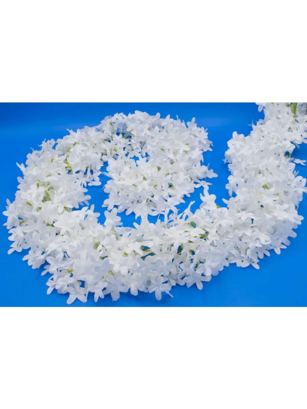 Лиана звездочка "Мадлен"