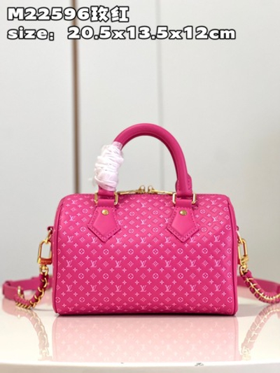 Louis Vuitton Speedy 20