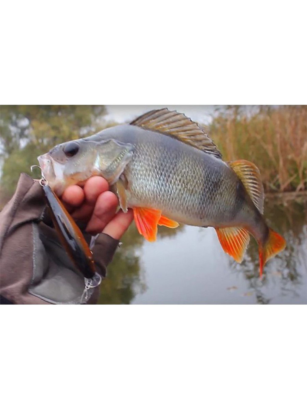 Воблер Шэд M-2 75mm,