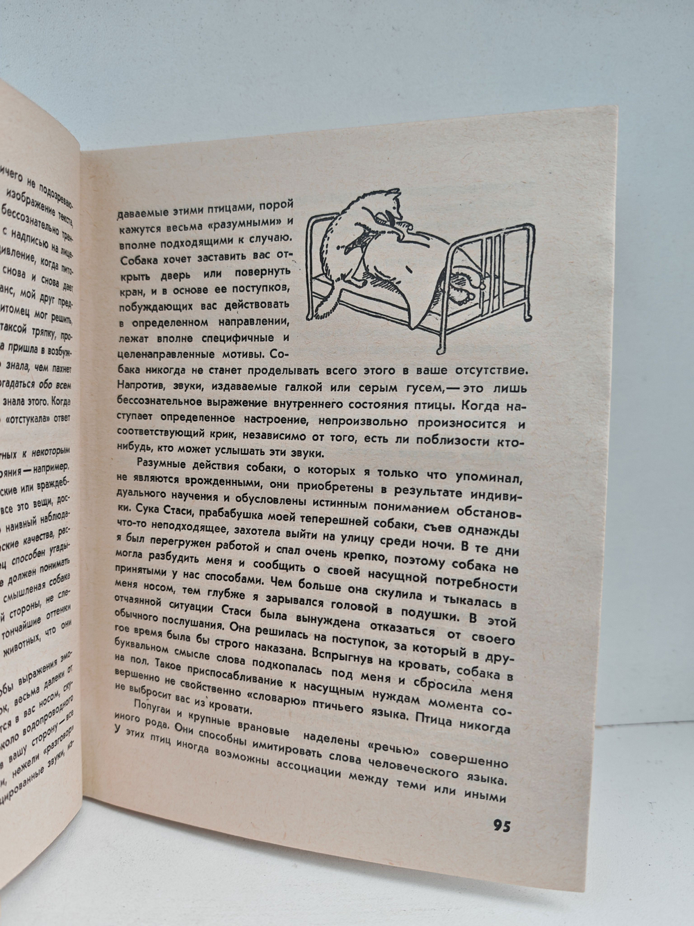 Кольцо царя Соломона