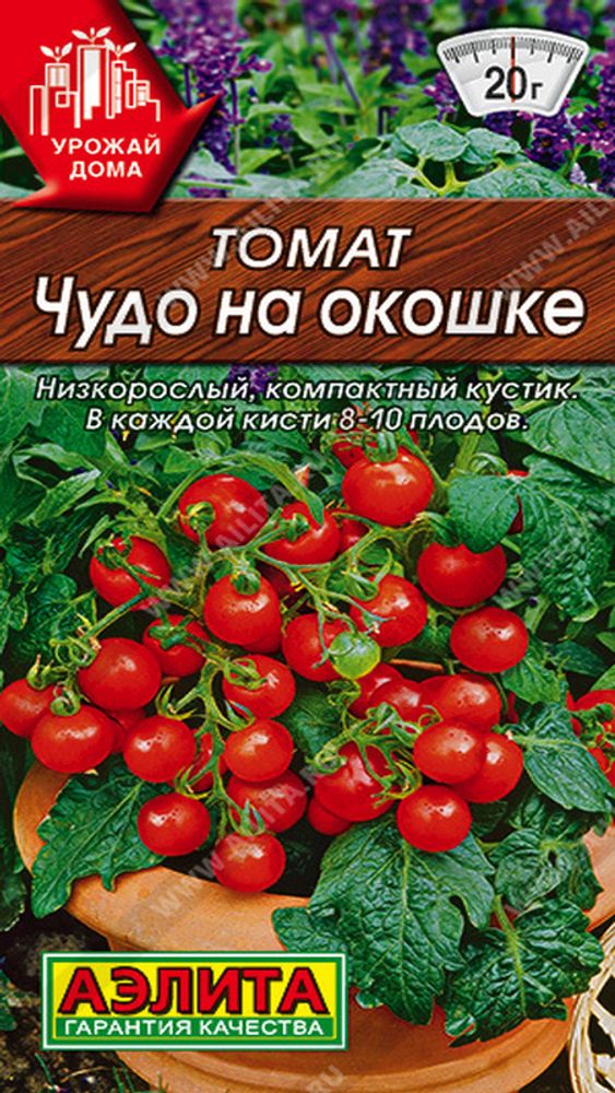 Томат &quot;Чудо на окошке&quot; 20шт, Россия.