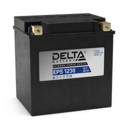 Аккумулятор Delta EPS 1230 (YTX30HL-BS, YTX30L-B, YTX30L)
