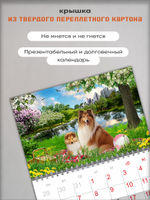 Настенный отрывной календарь "Собаки колли"