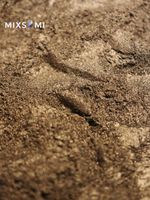 Премиум пигмент 8972 Тёмный орех - универсальный