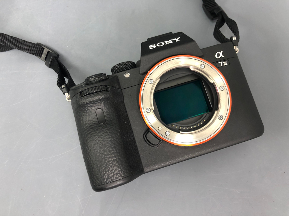 Sony A7 III (10.010 кадров)