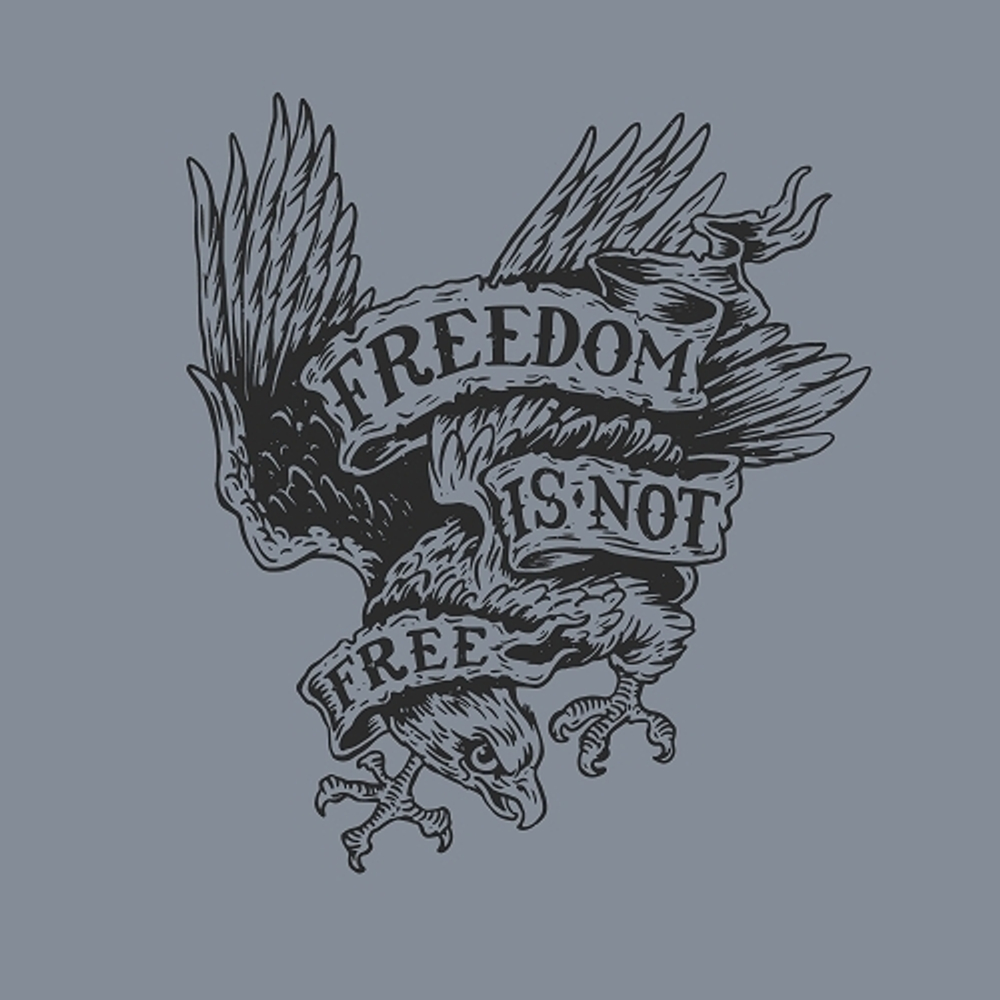 принт с орлом Freedom is not free серый
