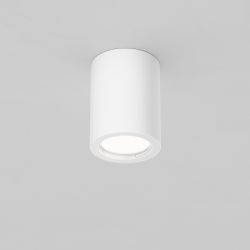 Светильник потолочный Maytoni   C001CL-GU10-W