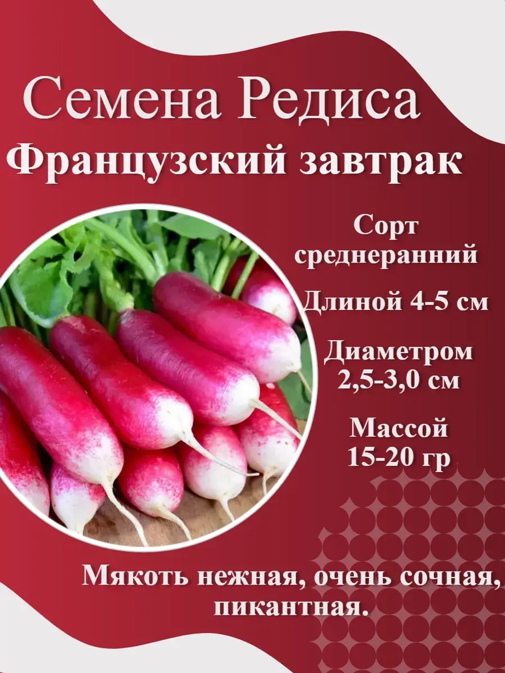 Семена Редиса