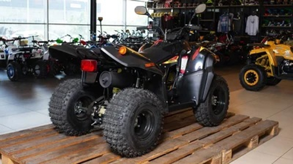Квадроцикл СТЕЛС ATV 110A HUGO
