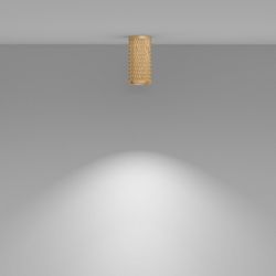 Накладной светильник Maytoni Focus Design C036CL-01G