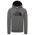 Баскетбольная толстовка The North Face Drew Peak Hoodie Gray