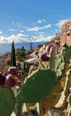 Оливковое масло BARBERA "MADRE MONTAGNA", D.O.P. Monte Etna, Extra Virgin, 750 мл. Италия