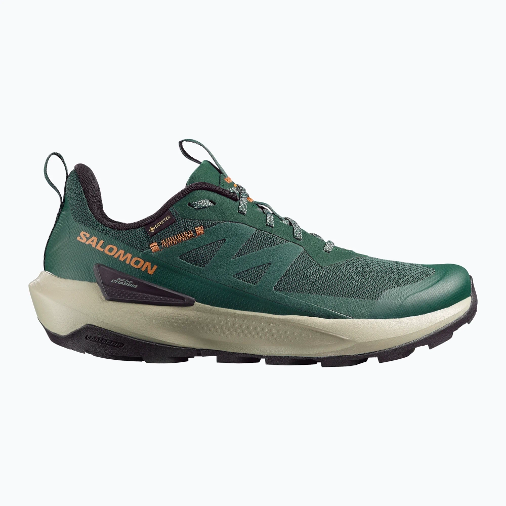 Ботинки Salomon Elixir Activ GTX scarab/green gable