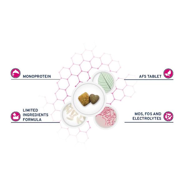 Сухой корм Forza 10 Active VetDiet INTESTINAL для взрослых собак всех пород при проблемах пищеварения