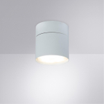 Накладной светильник Arte Lamp INTERCRUS A5549PL-1WH