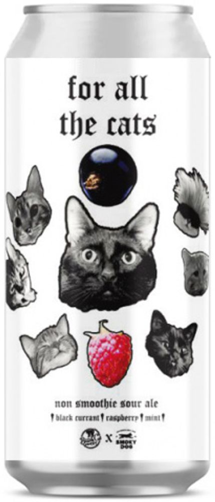 Пиво Блэк Кэт За Всех Кошек / Black Cat For All The Cats 0.45 - банка