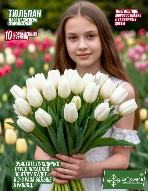 Тюльпан Луковица, Мисс Медведева, 10шт